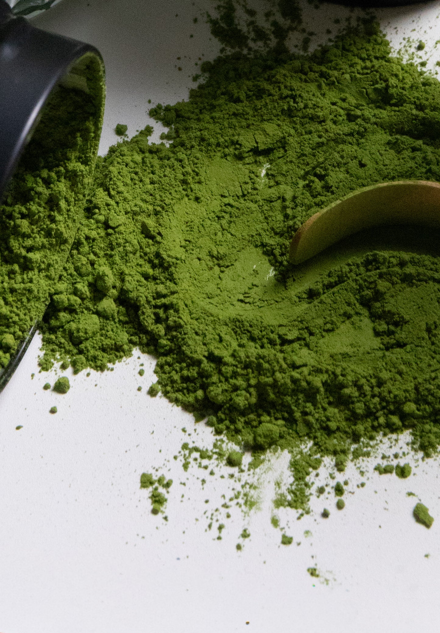 Premium Matcha | Single Cultivar Okumidori (翠嶺)