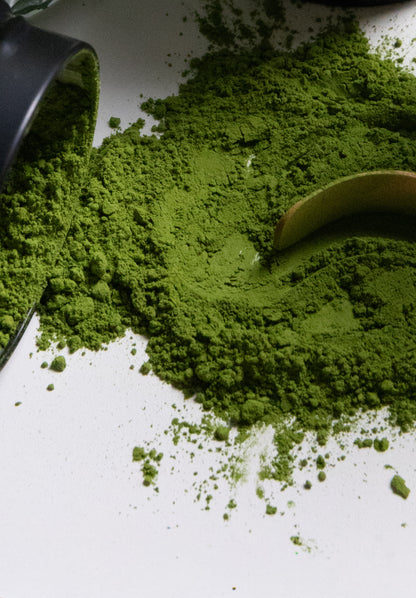 Premium Matcha | Single Cultivar Okumidori (翠嶺)